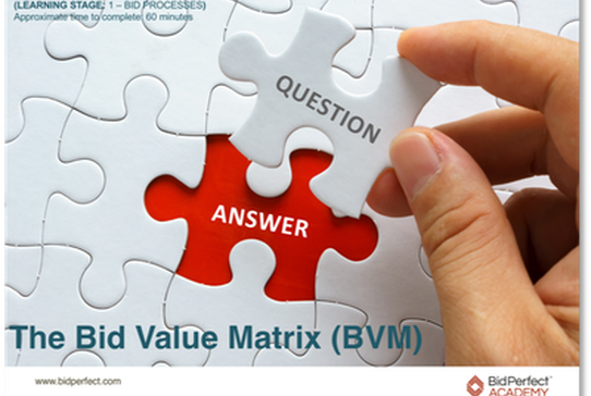 Bid Value Matrix.png
