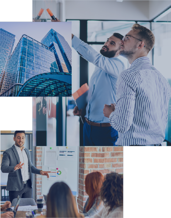 bid consultancy
